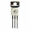 P168USDT Harvatek Power Led Red Color