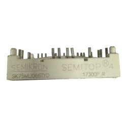 SK75MLI066TYD Semikron IGBT Module